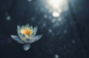 trauma