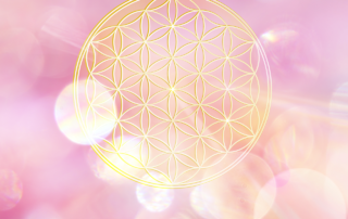 Meditazione guidata cuore